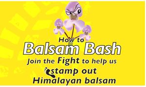 Balsam Bash